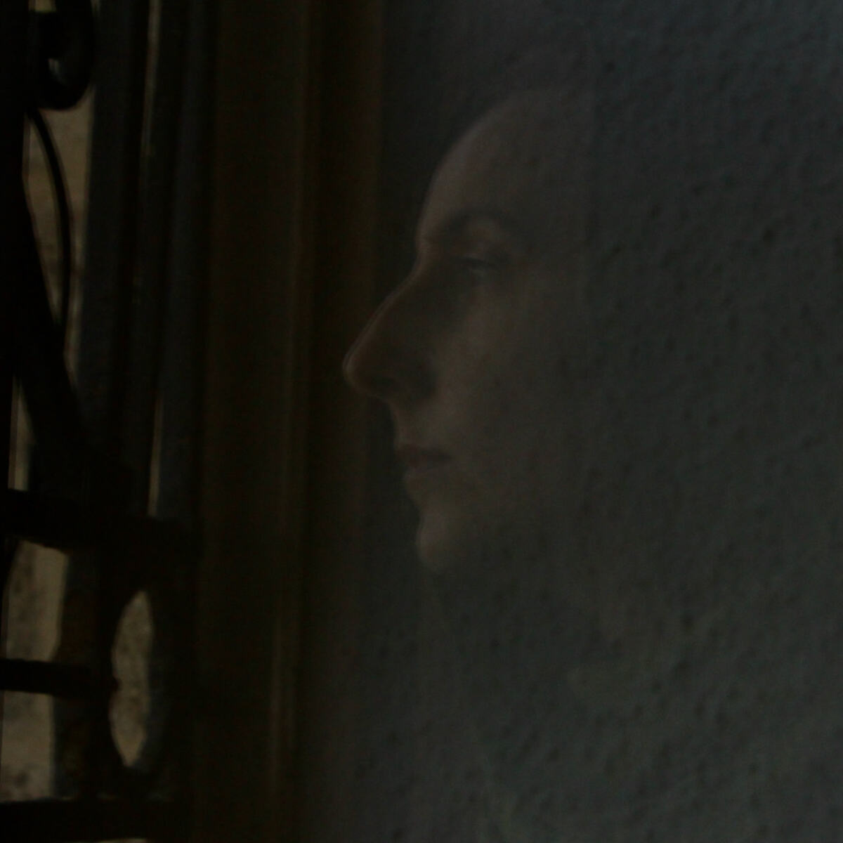 Seda Window Reflection