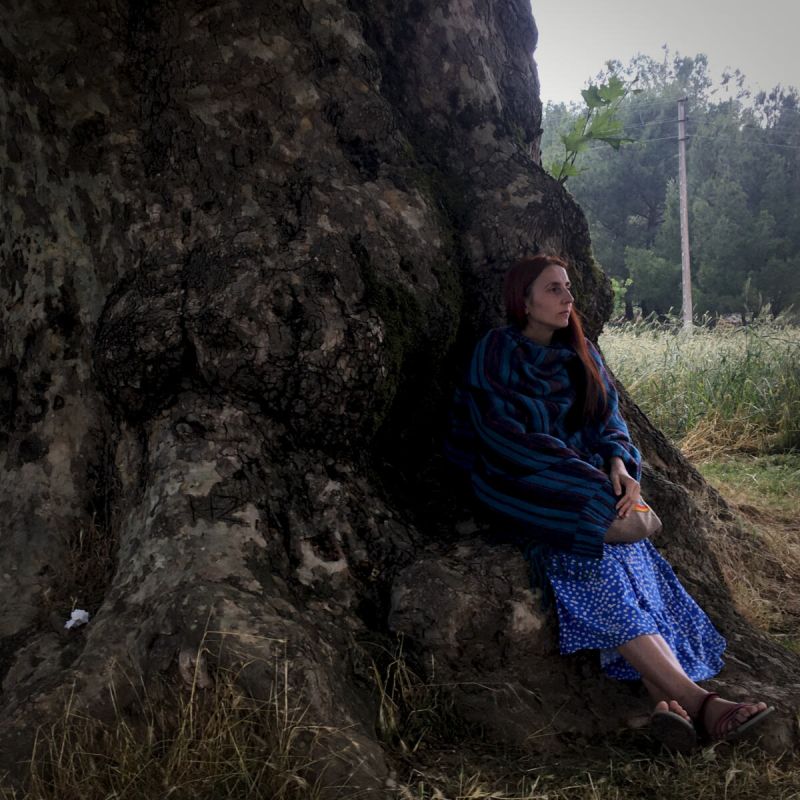 Seda Old Chinar