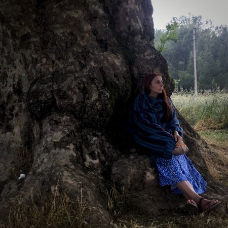 Seda Old Chinar